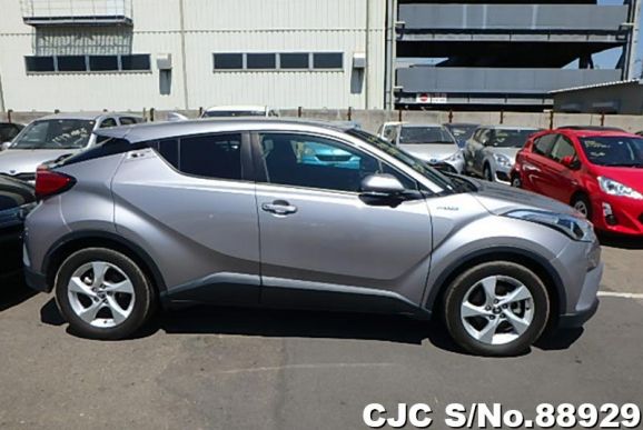 2017 Toyota C-HR Gray for sale | Stock No. 88929 | Japanese Used
